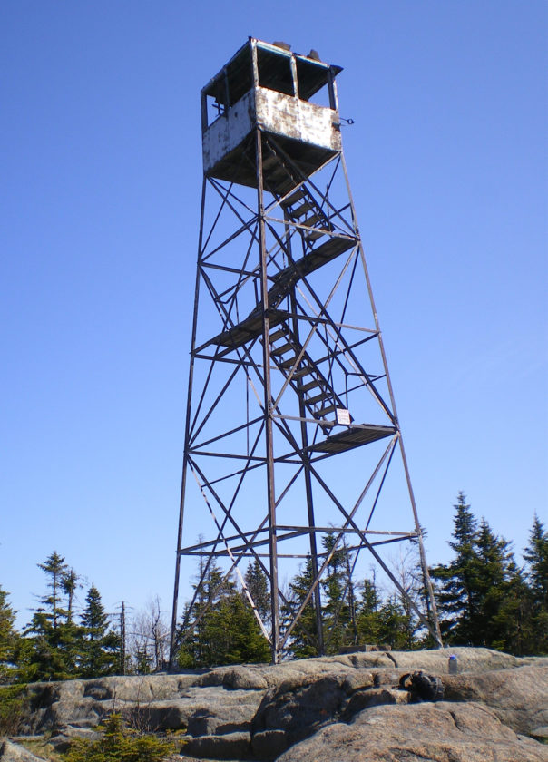 Summer of towering centennials News, Sports, Jobs Adirondack Daily